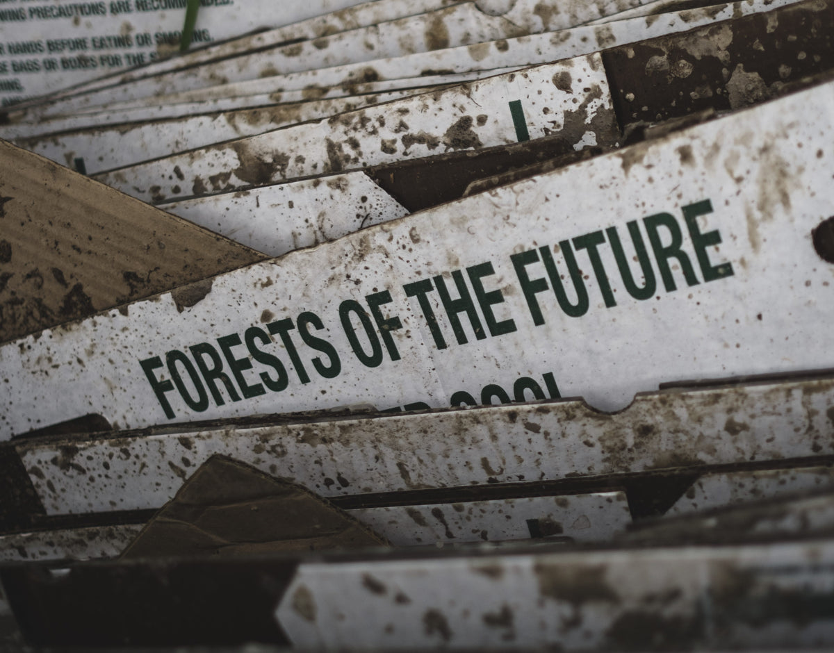 tentree's Reforestation And Agroforestry Efforts Explained