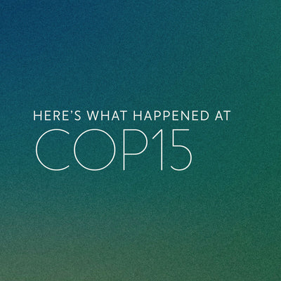 Key Takeaways from COP15