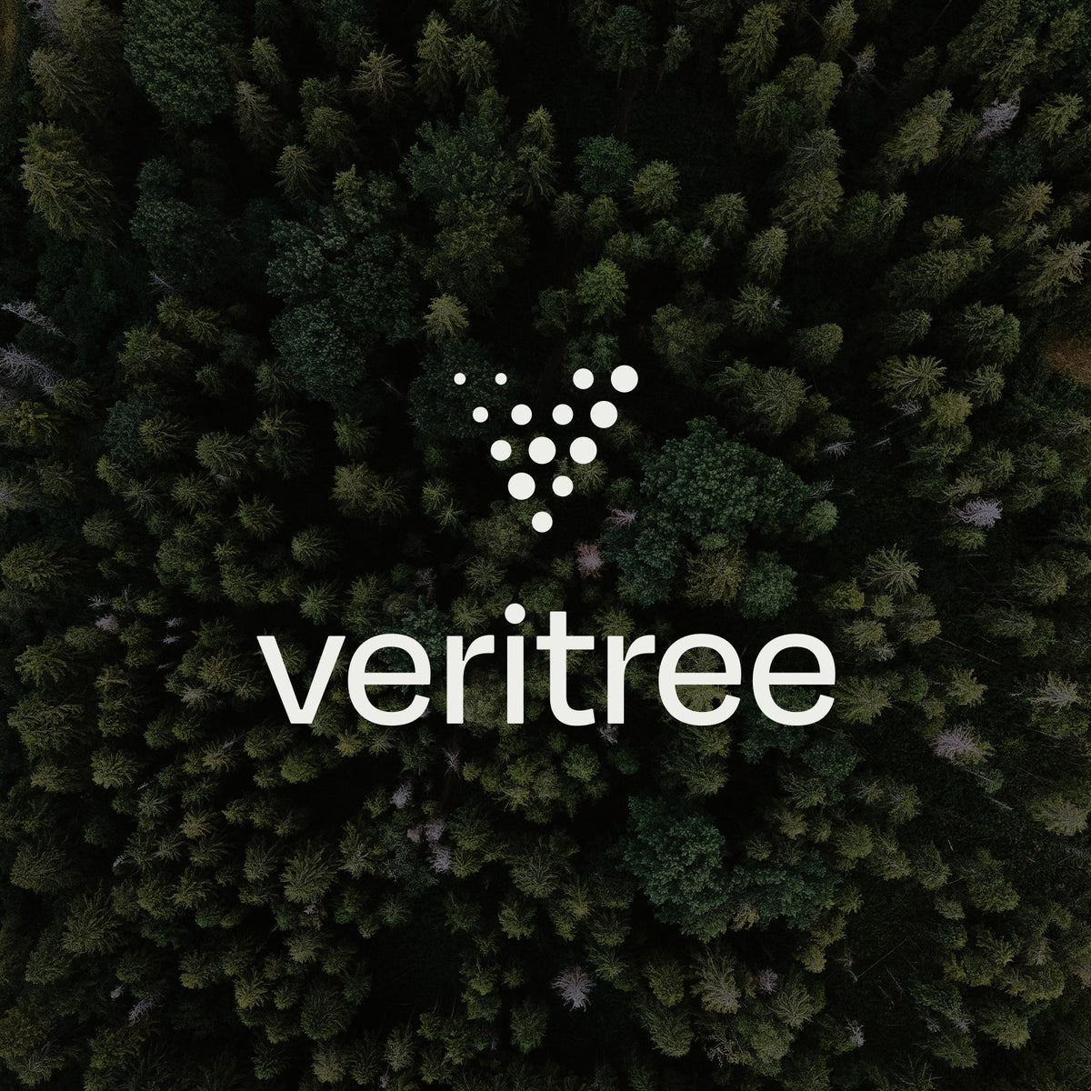 Introducing veritree: A Nature-Based Technology Solution