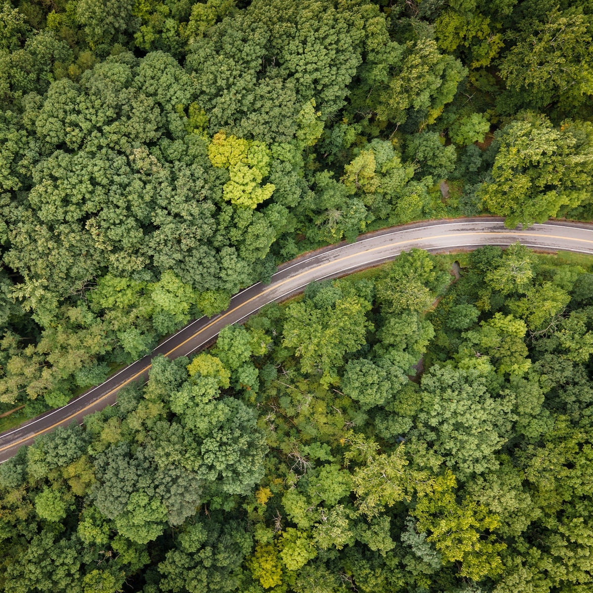 The Impact of Our First Ever Earth Month Campaign