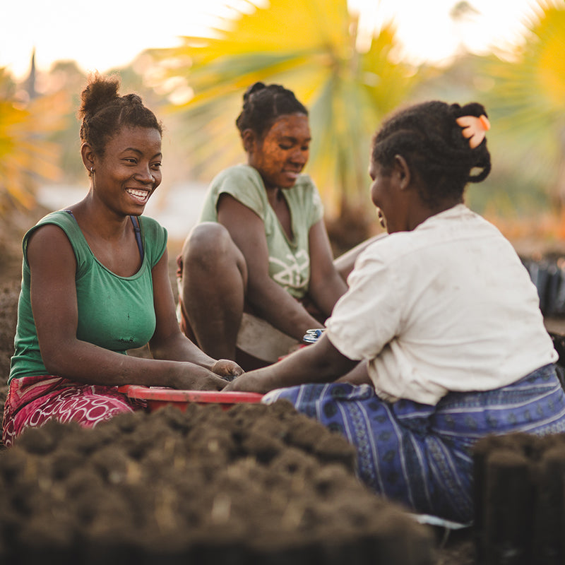Meet Our Planters