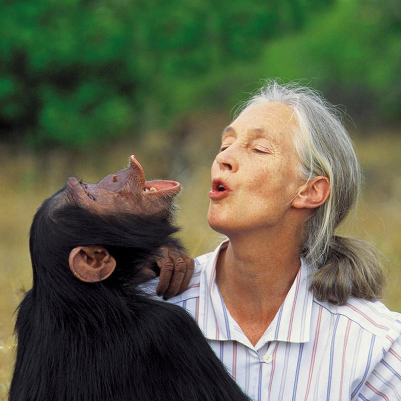 The Top Ten Celebrity Environmental Activists