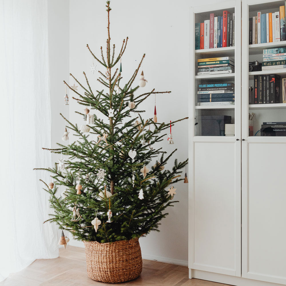 5 Ways To Recycle Your Christmas Tree