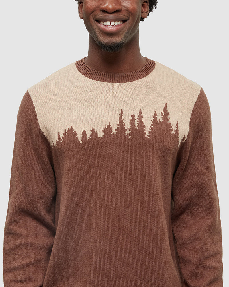 Brown-Organic-Cotton-Graphic-Sweater