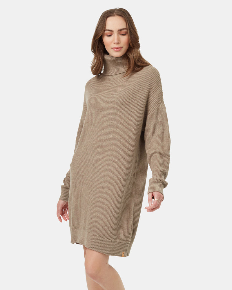 Highline Oversized Turtleneck Dress
