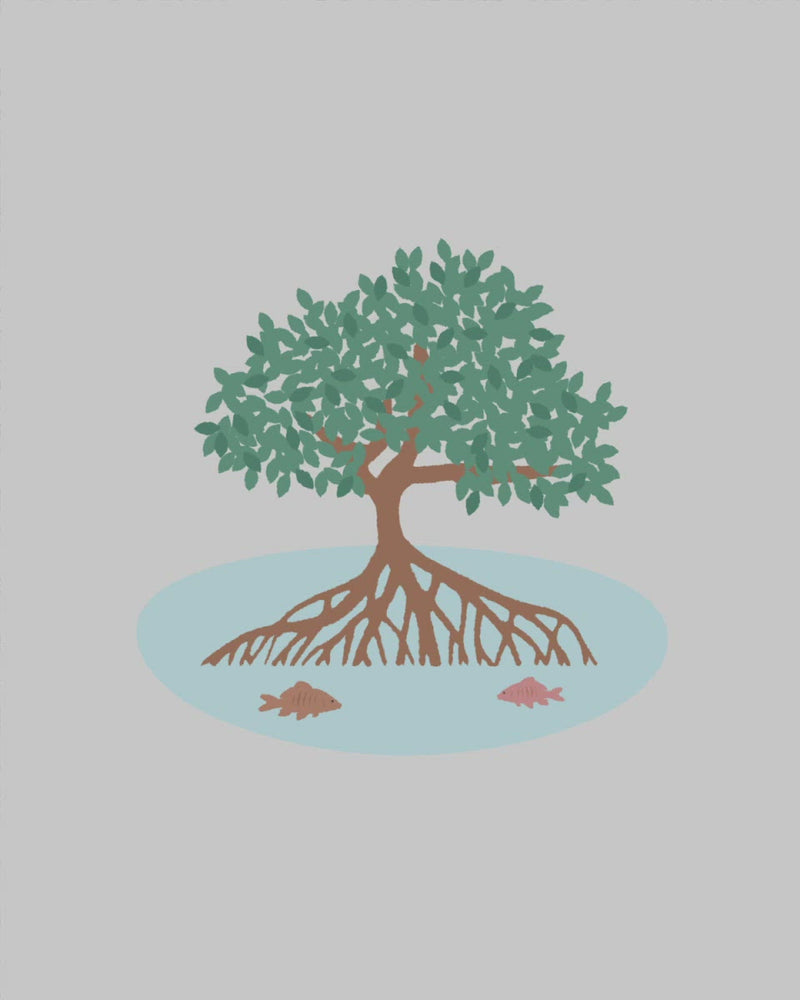 Aidez à régénérer une forêt de mangroves