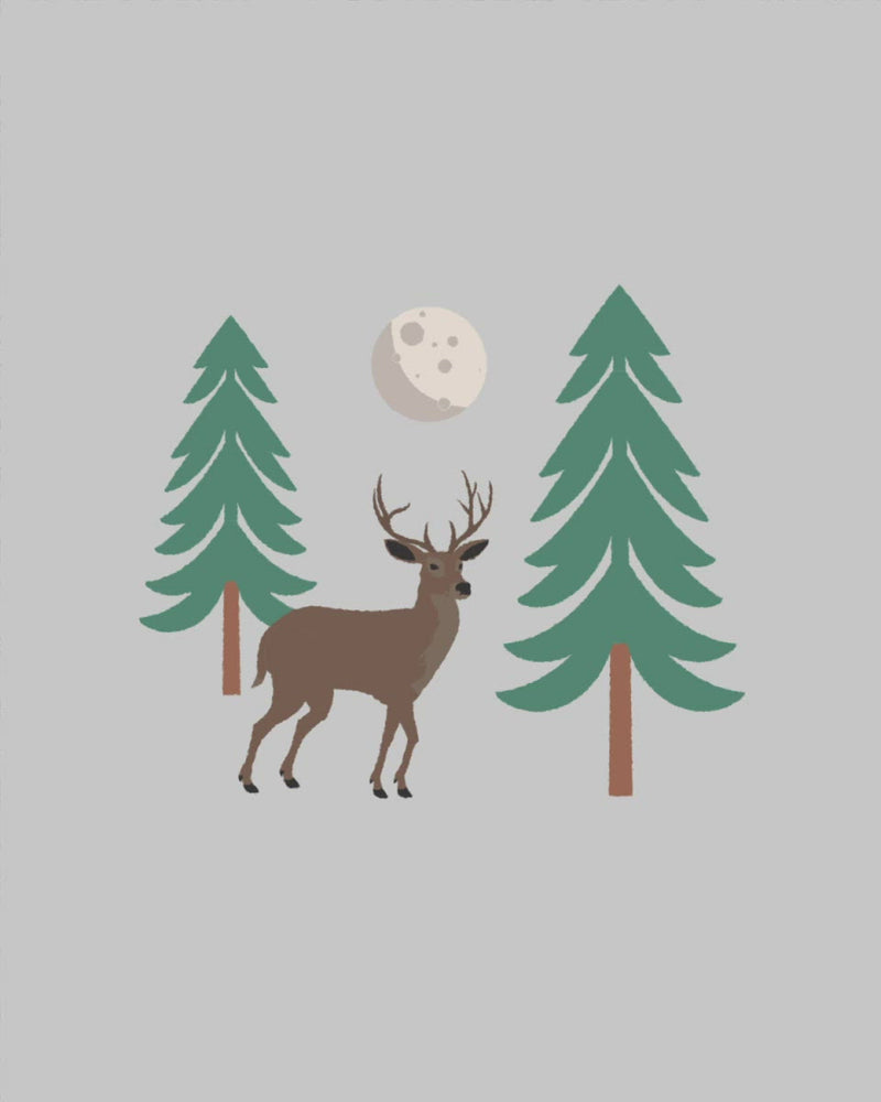 Aidez à régénérer une forêt tempérée sèche