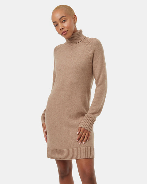 brown_turtleneck_dress_TCW3681